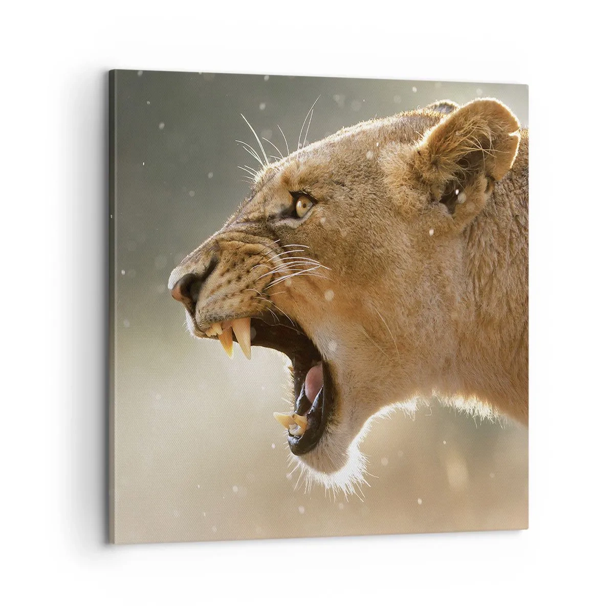 Lærredstryk - Billede på lærred - Prøv ikke at lytte - 60x60 cm