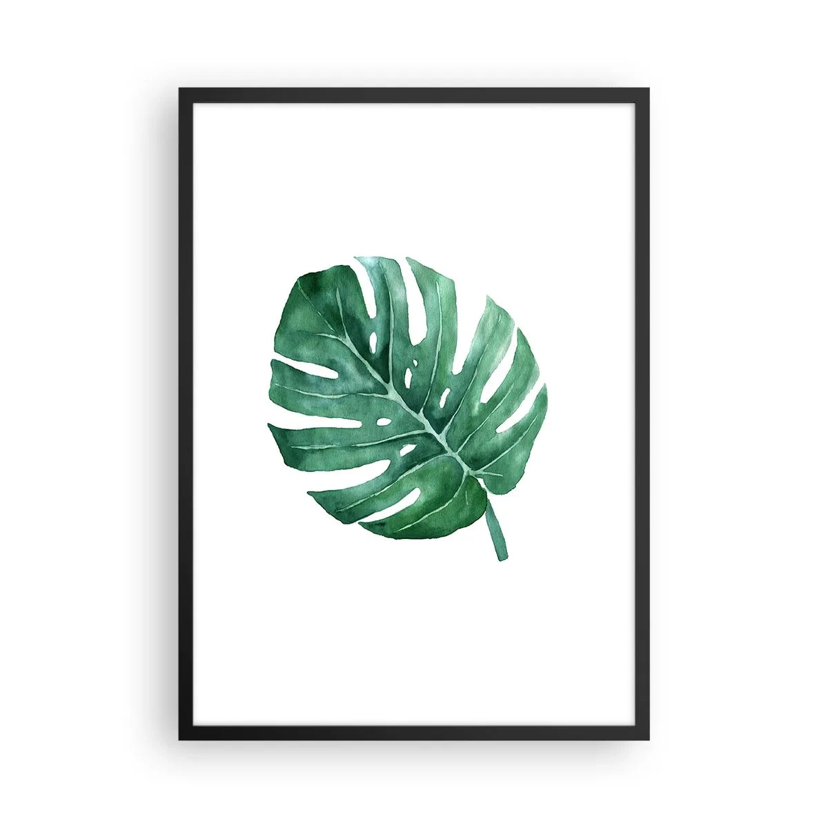Plakat i sort ramme - Akvarel illustration af et monsterablad på en hvid baggrund - 50x70cm - Grønt koncept - Moderne vægdekoration til stue og soveværelse ARTTOR