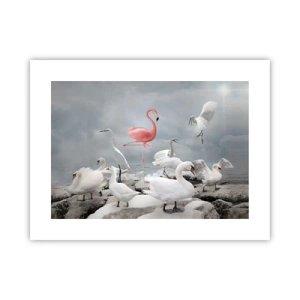 Plakat - Hvor kommer jeg fra? - 40x30 cm