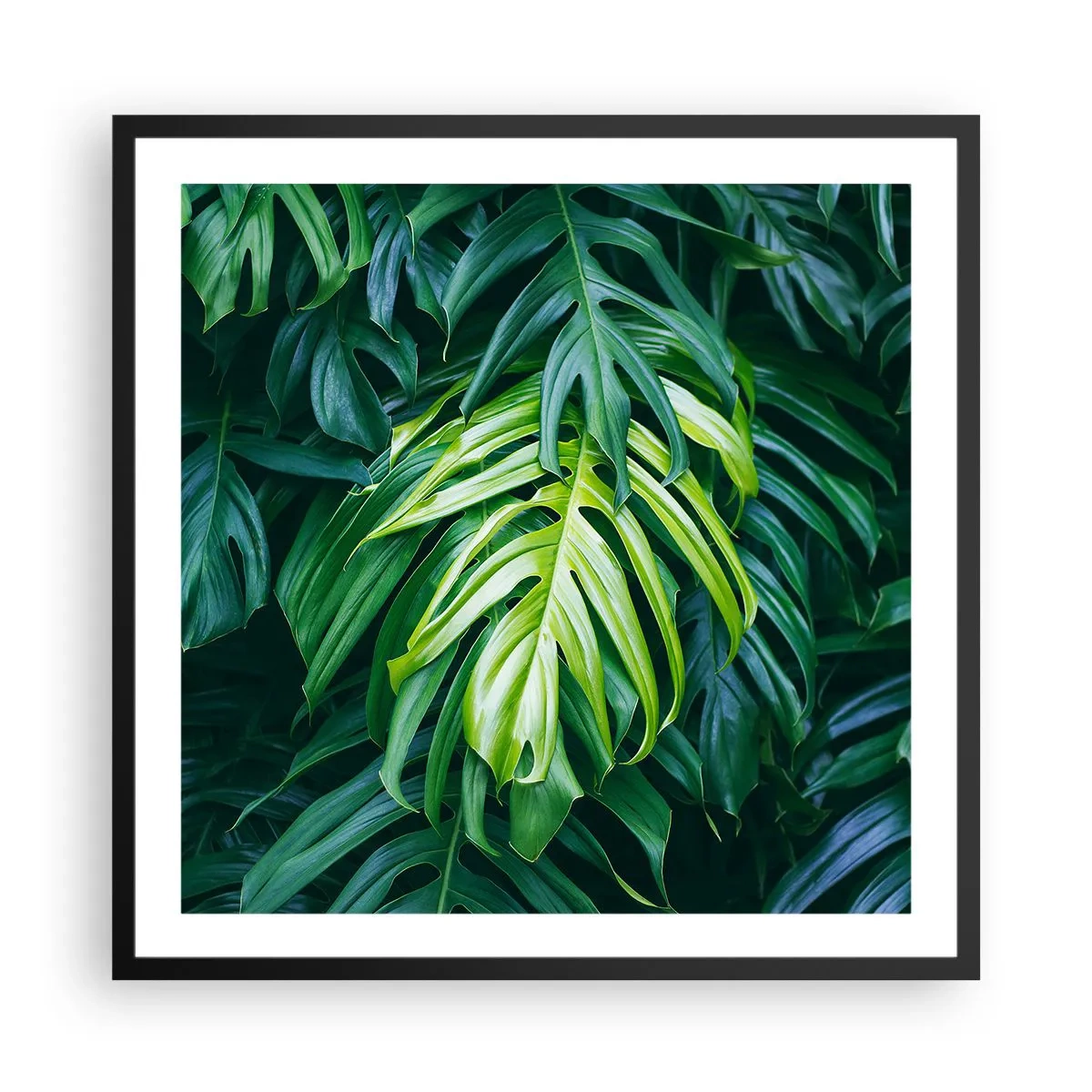 Plakat i sort ramme - Fordyb dig i friskhed - 60x60 cm