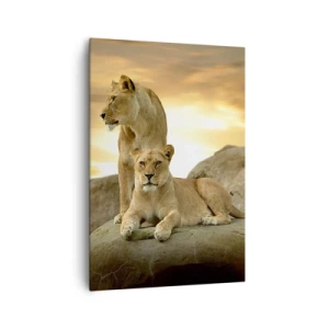 Lærredstryk - Billede på lærred - Kongelig majestæt - 70x100 cm