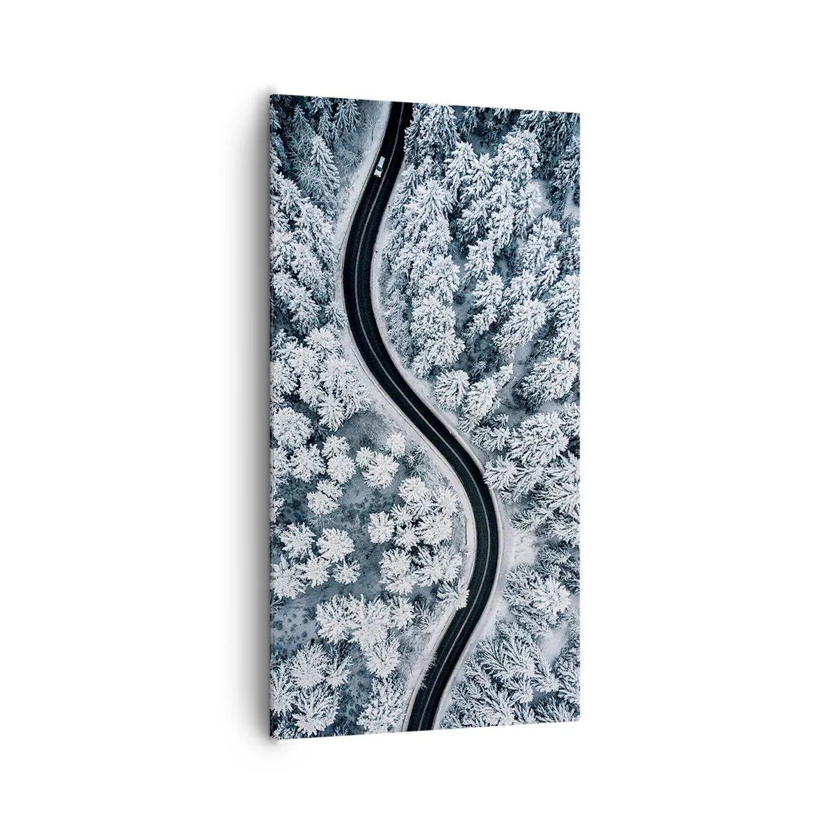 Lærredstryk - Billede på lærred - Gennem en vinterskov - 65x120 cm