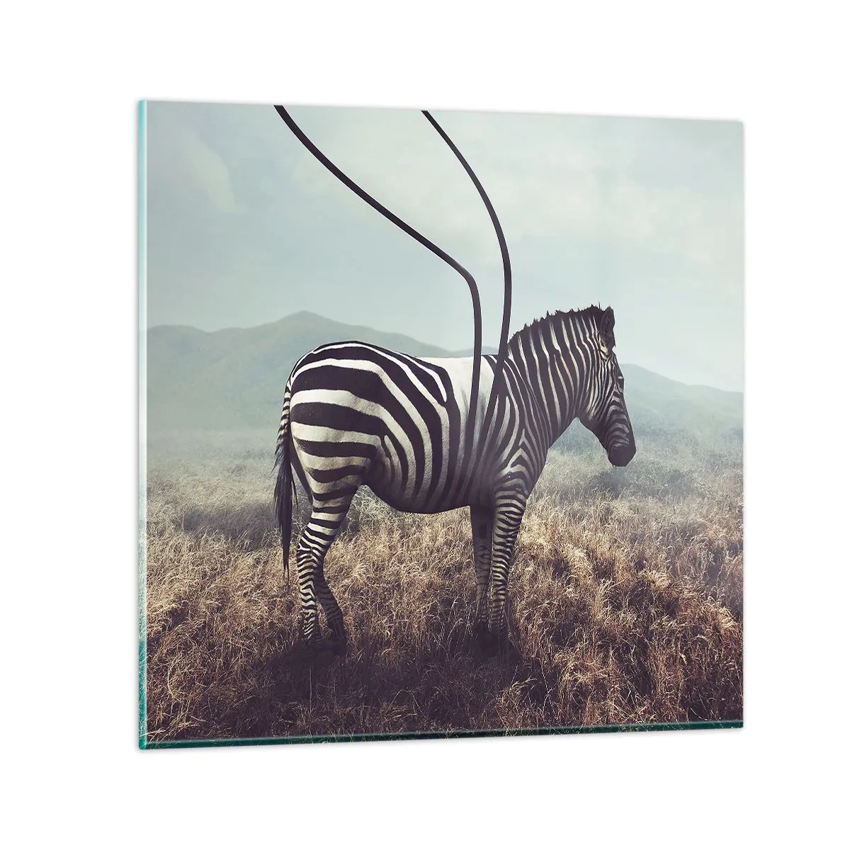 Billede på glas - OBS! Fejl - 70x70 cm