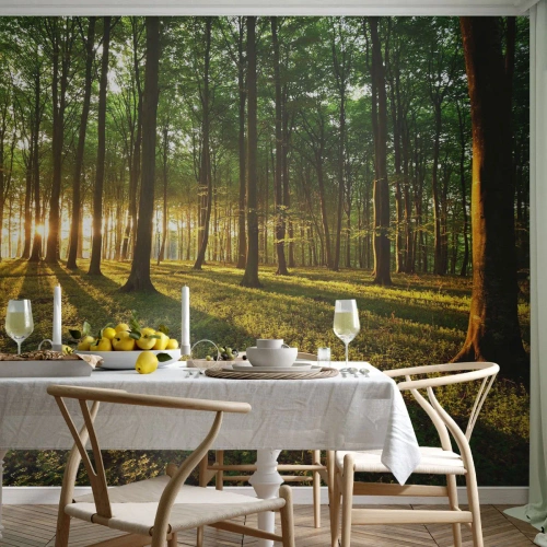 Fototapet Premium Sand - Fotografering af alle fjedre - Landskab, Skov, Natur - 150x105 cm