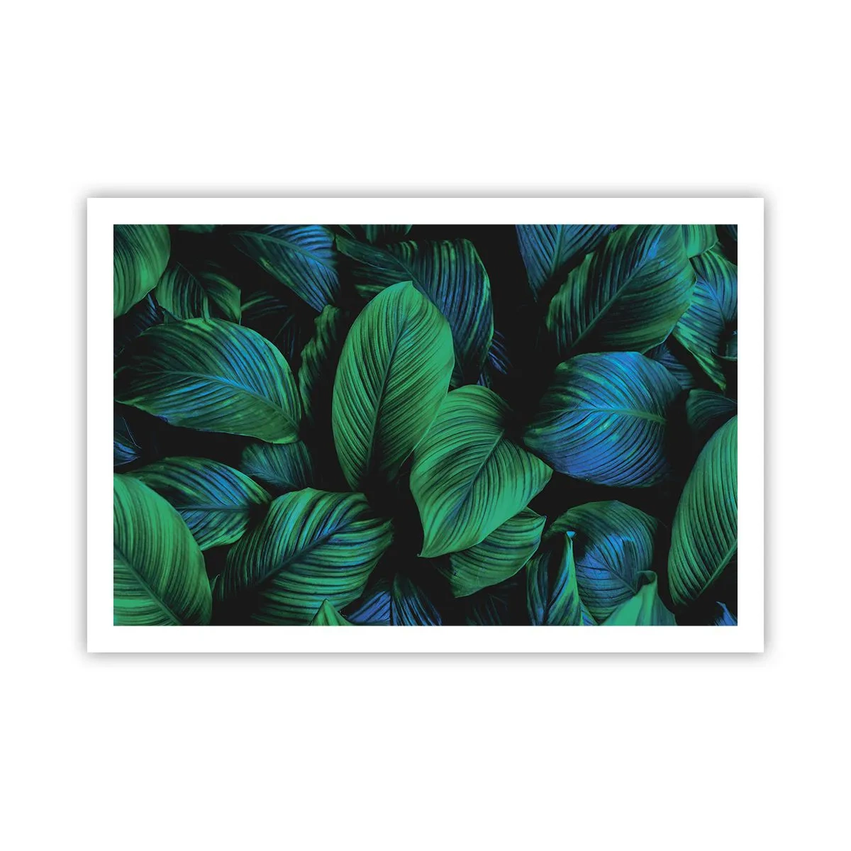 Plakat - I den grønne flok - 91x61 cm