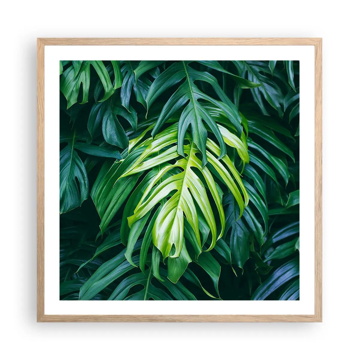 Plakat i ramme af lyst egetræ - Fordyb dig i friskhed - 60x60 cm