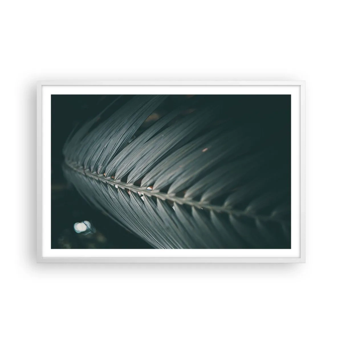 Plakat i hvid ramme - Naturens præcision - 91x61 cm