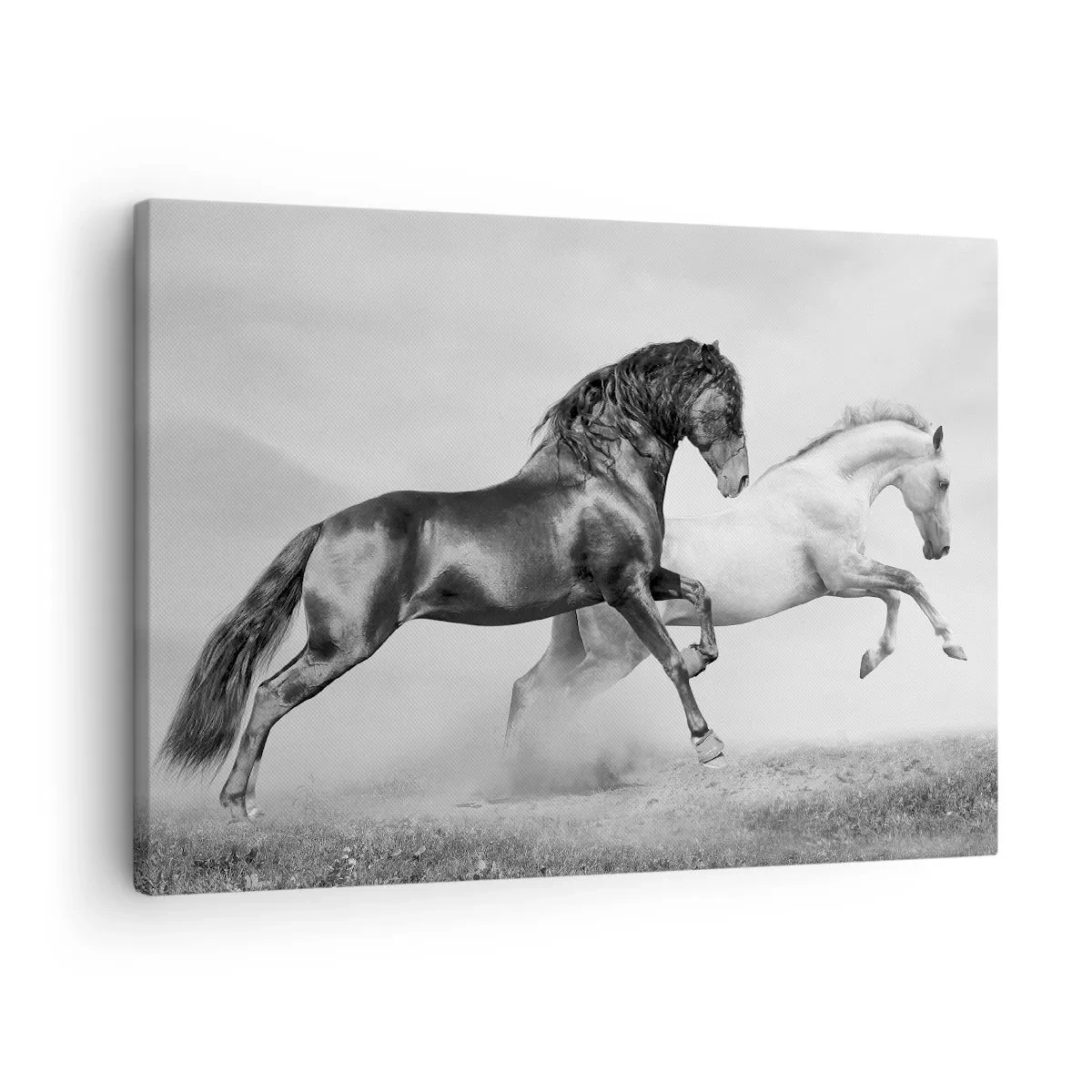 Lærredstryk - Billede på lærred - To galoperende heste i en dynamisk sort-hvid komposition - 70x50cm - Engle og dæmoner - Moderne vægdekoration til stue og soveværelse ARTTOR