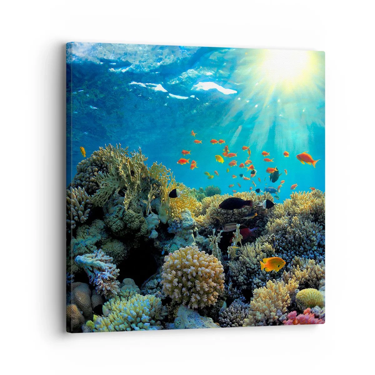 Lærredstryk - Billede på lærred - Undervandsskatte - 30x30 cm