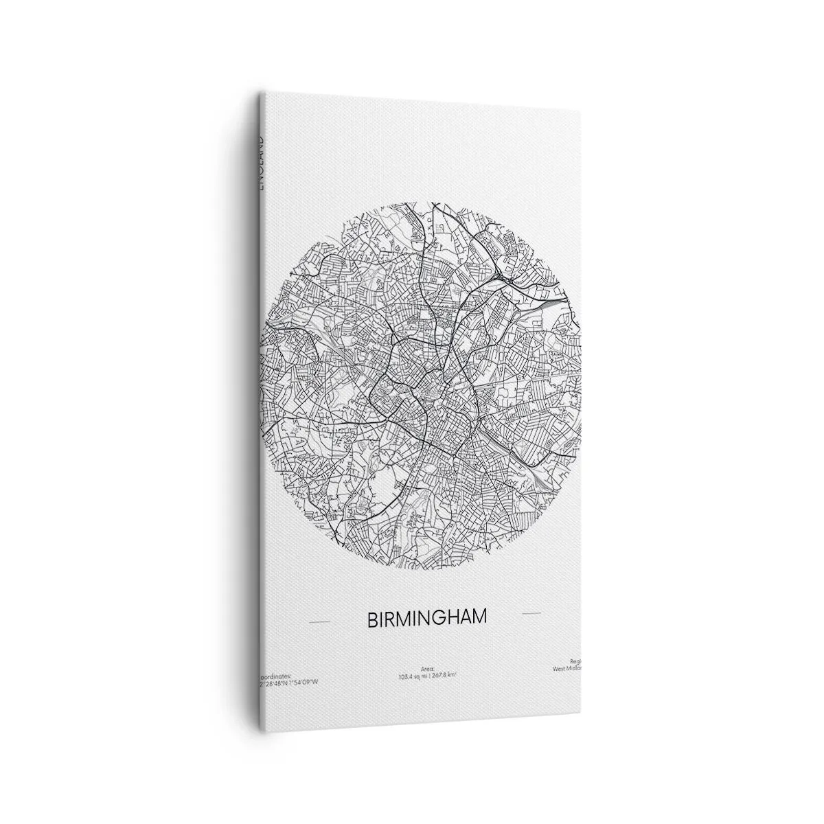 Lærredstryk - Billede på lærred - Birminghams anatomi - 45x80 cm