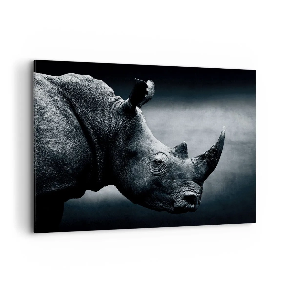 Lærredstryk - Billede på lærred - Højre profil - 100x70 cm