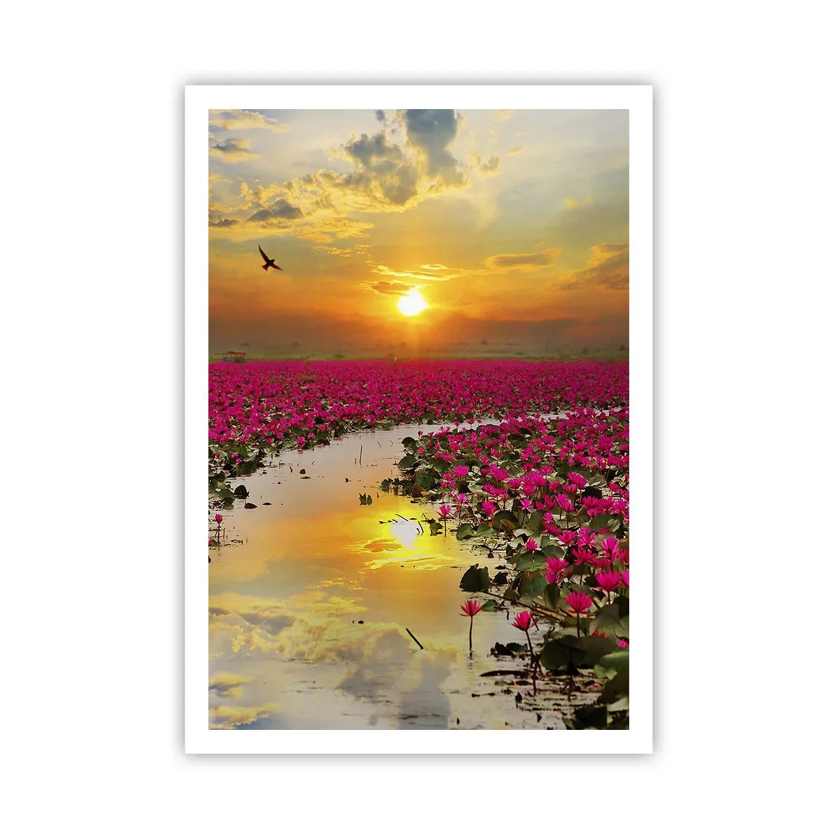 Plakat - Søens hemmelige liv - 70x100 cm