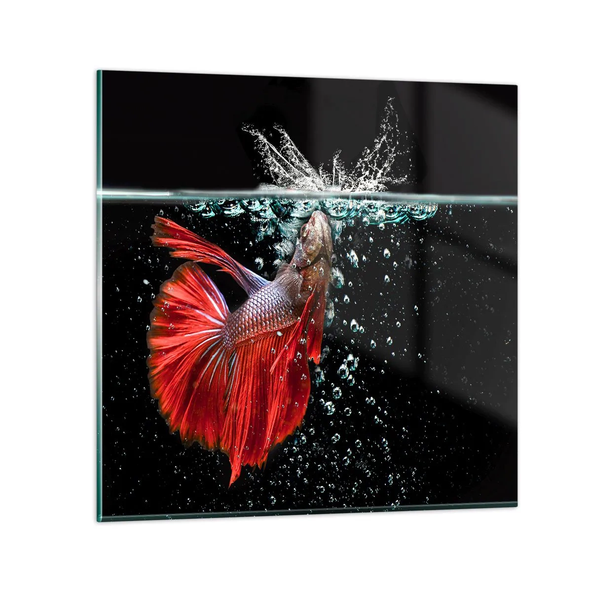 Billede på glas - Du har tre ønsker - 70x70 cm