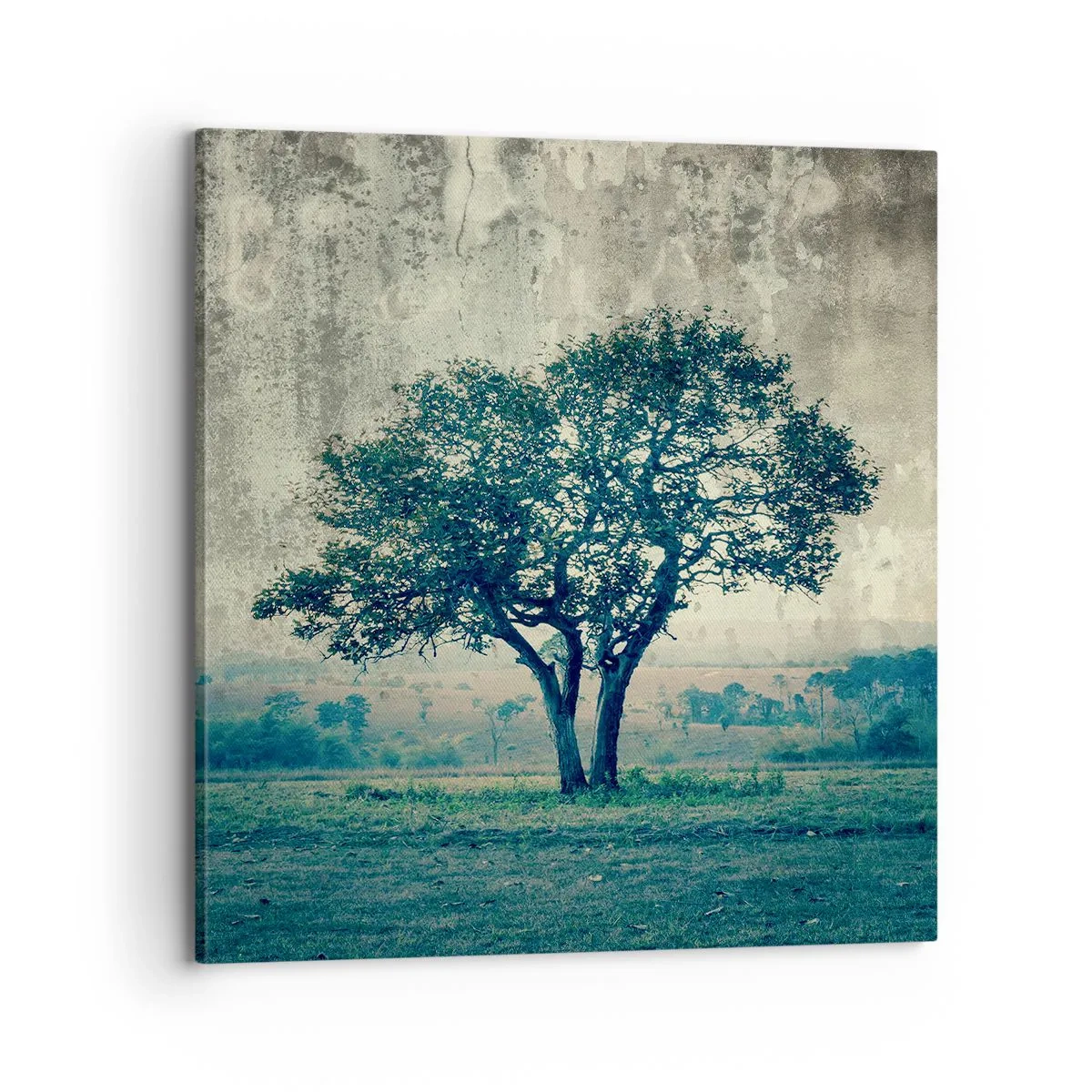 Lærredstryk - Billede på lærred - Et æbletræ på en blå membran? - 70x70 cm