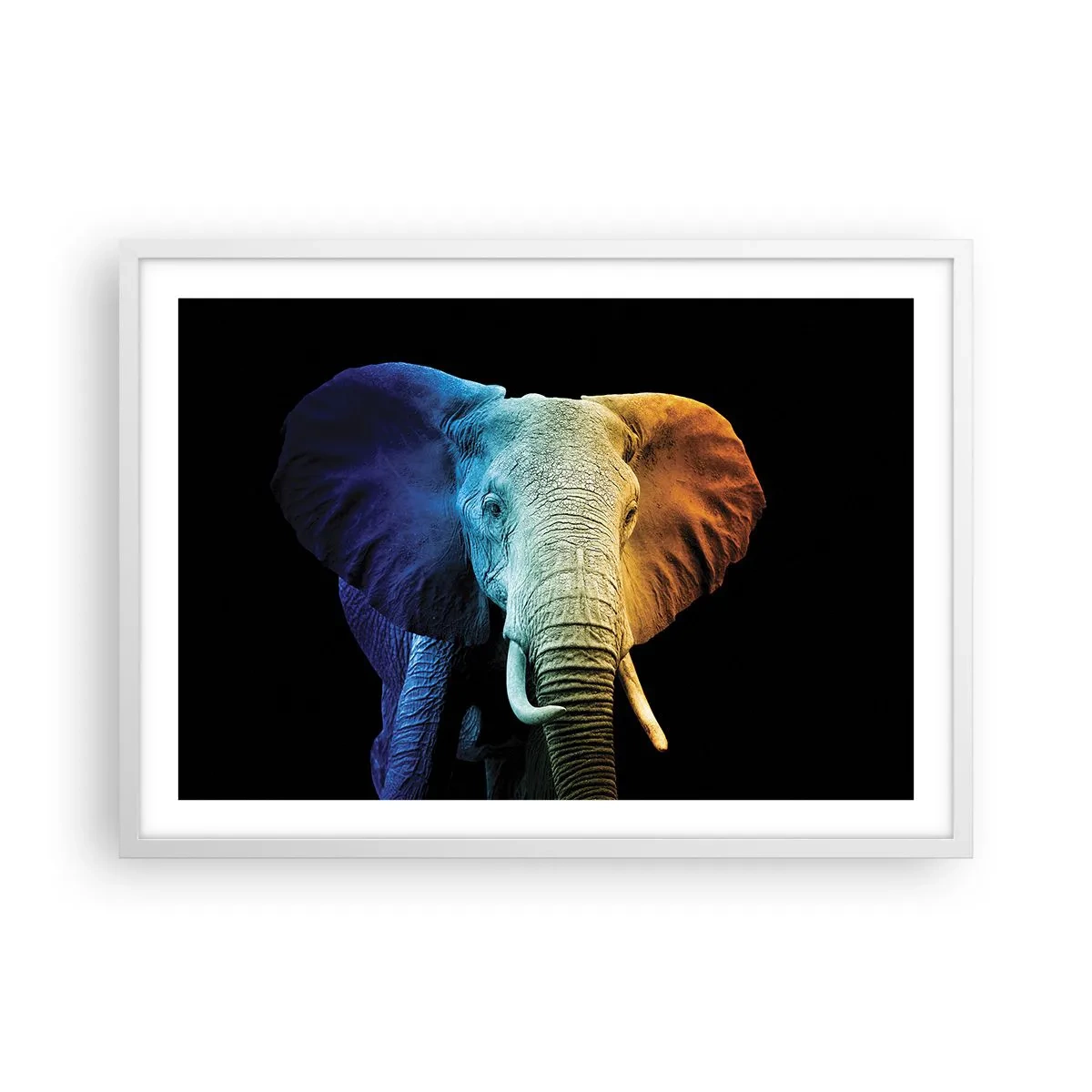 Plakat i hvid ramme - Excentrisk, ikke underlig - 70x50 cm