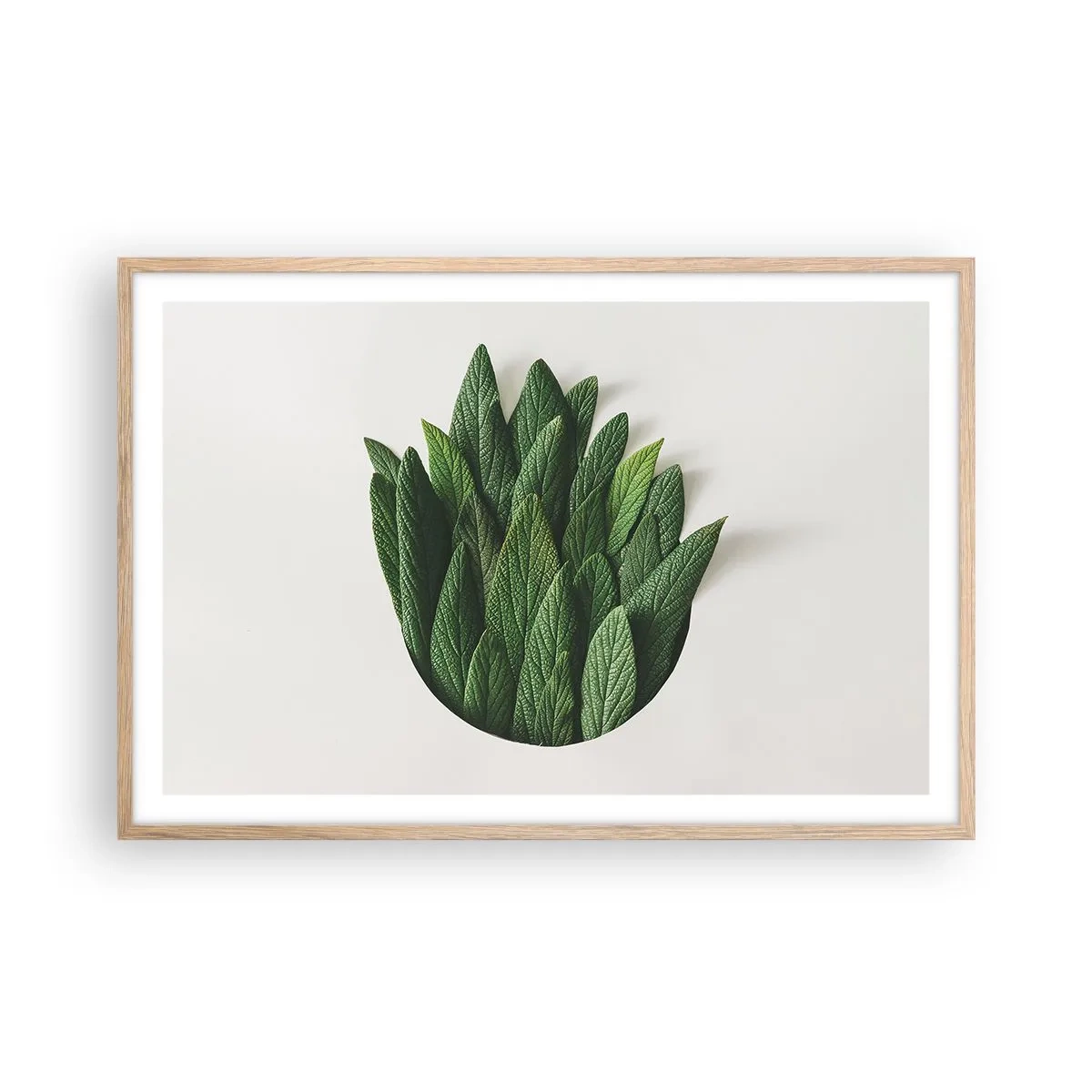 Plakat i ramme af lyst egetræ - Uhæmmet nysgerrighed - 91x61 cm