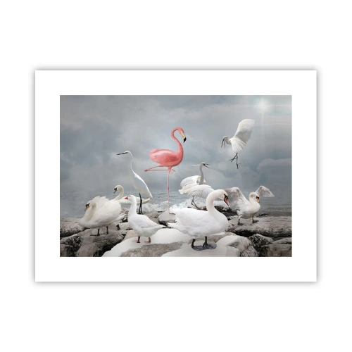 Plakat - Hvor kommer jeg fra? - 40x30 cm