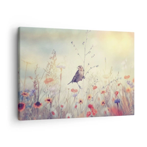 Lærredstryk - Billede på lærred - En fugl mod baggrunden af en farverig eng i pastelfarver - 70x50cm - Fugleportræt med en eng i baggrunden - Moderne vægdekoration til stue og soveværelse ARTTOR