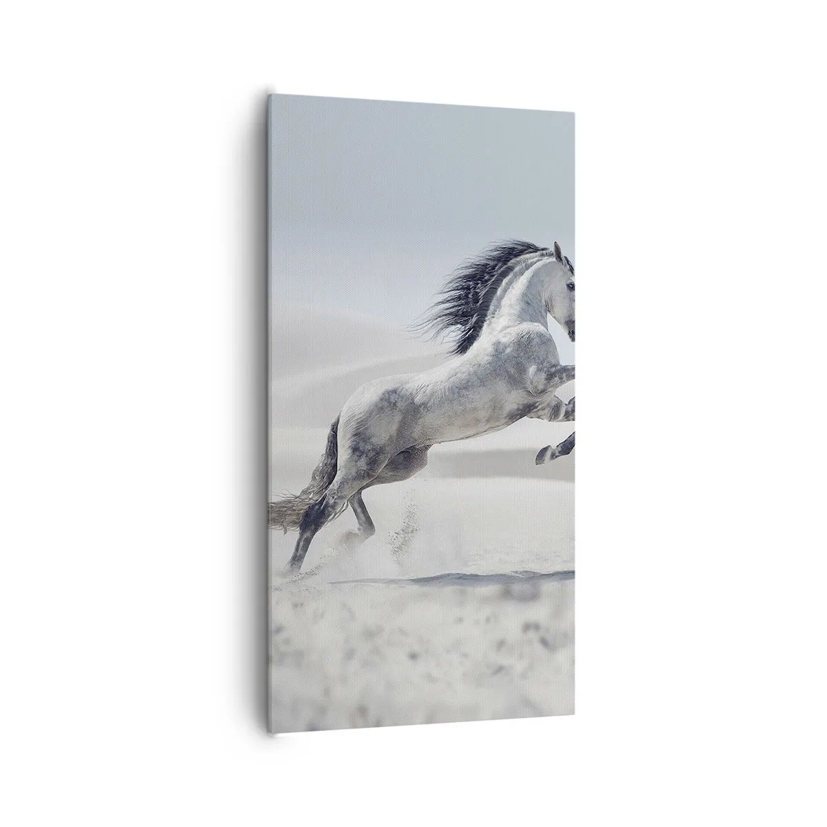 Lærredstryk - Billede på lærred - Arabisk prins - 65x120 cm