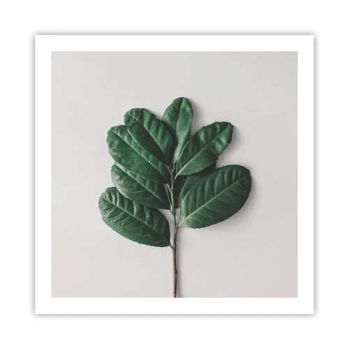 Plakat - Tegning af selve naturen - 60x60 cm