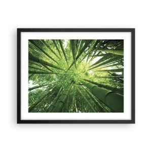 Plakat i sort ramme - I en bambuslund - 50x40 cm