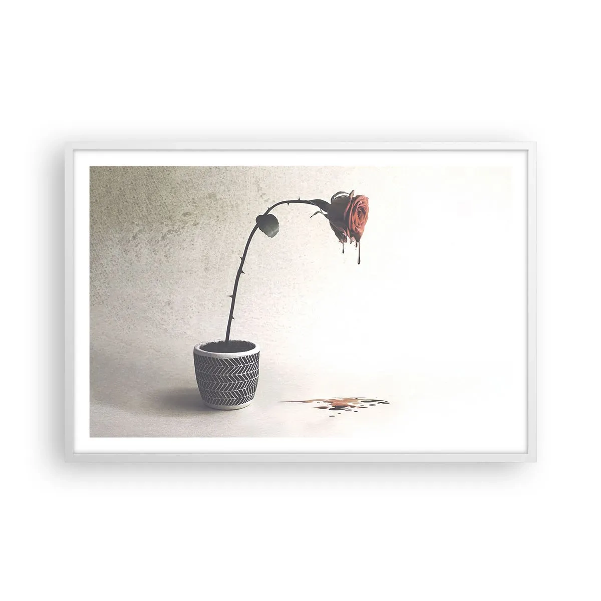 Plakat i hvid ramme - Rosa dolorosa - 91x61 cm