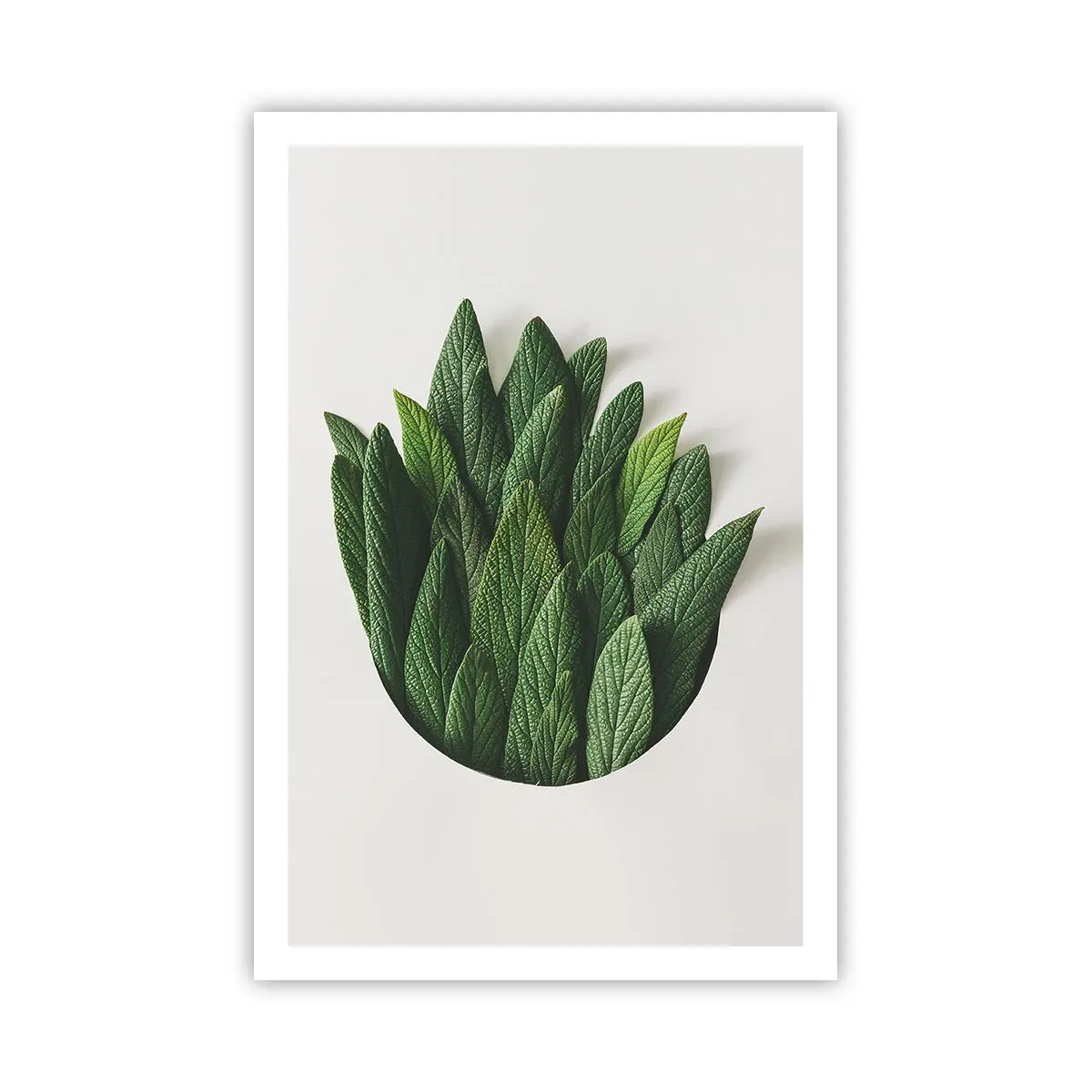 Plakat - Uhæmmet nysgerrighed - 61x91 cm