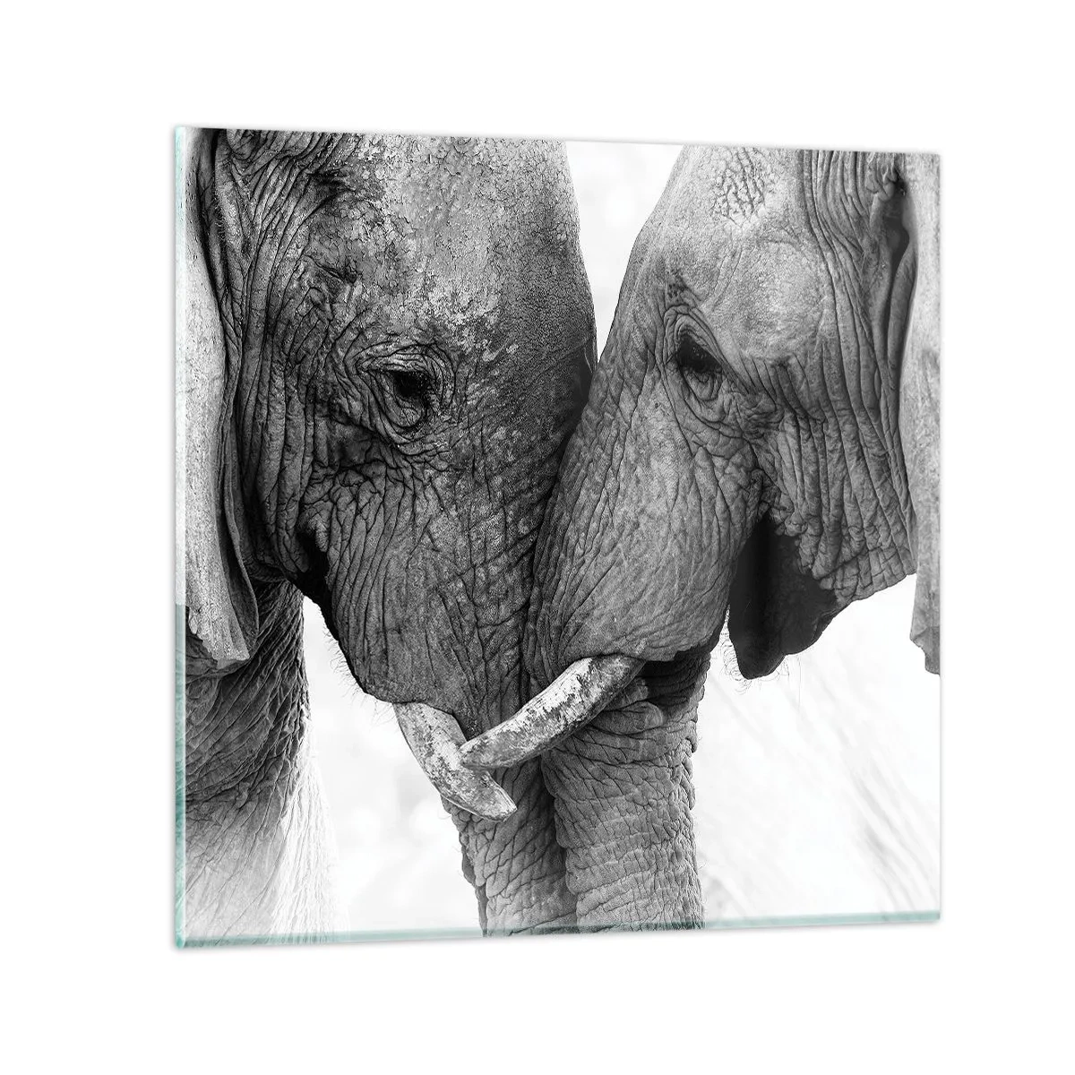 Billede på glas - Hjertelig tilståelse - 60x60 cm