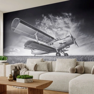 Fototapet Premium Canvas - Den bevingede vandringsmand - Fly, Fly, Sort og hvid - 400x280 cm