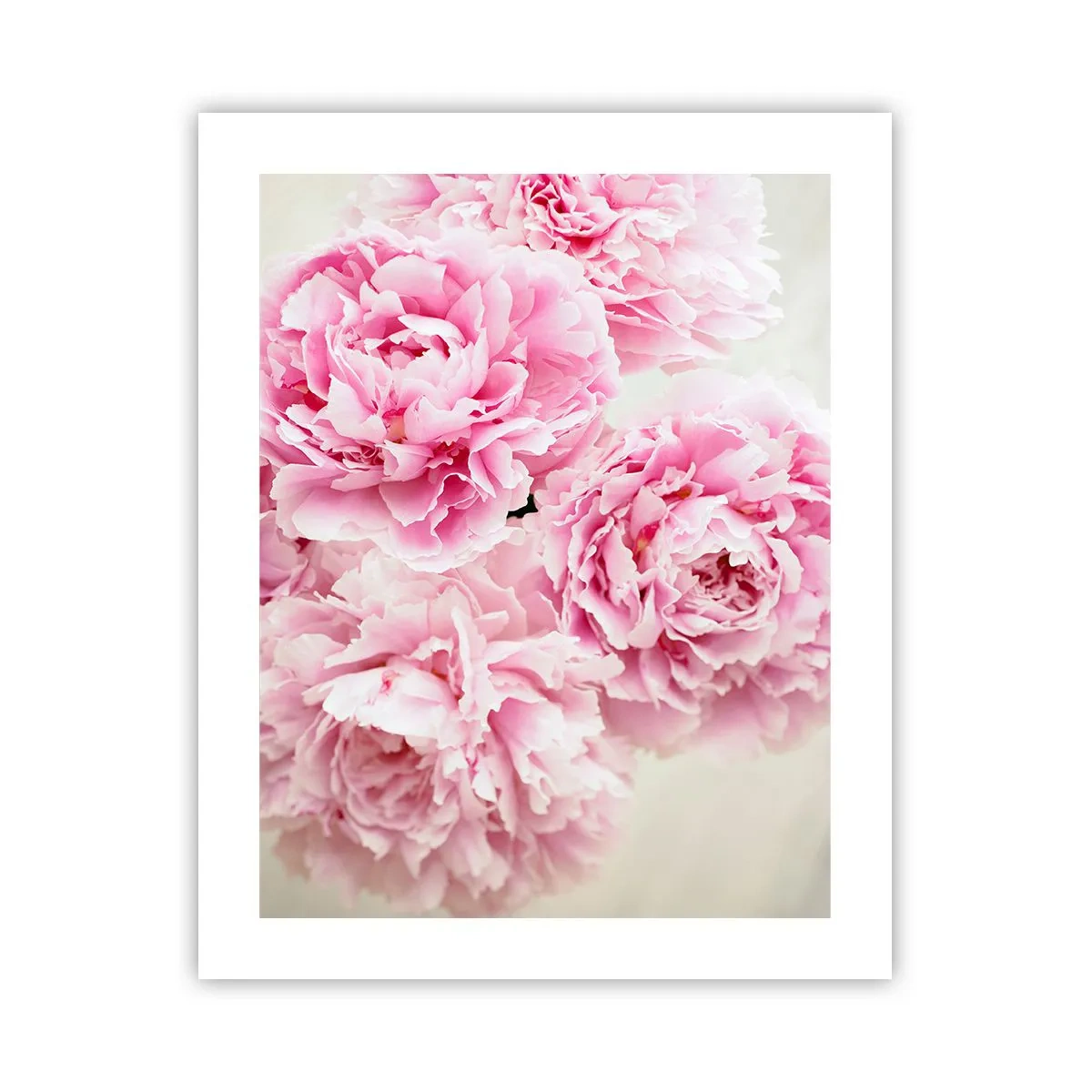 Plakat - I lyserød glamour - 40x50 cm