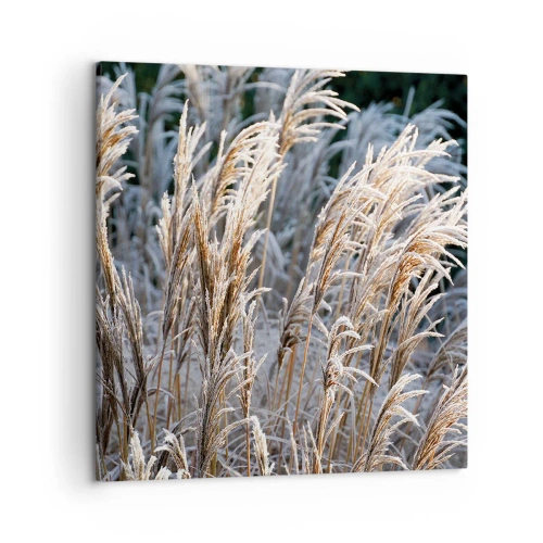 Lærredstryk - Billede på lærred - Pyntet med frost - 50x50 cm