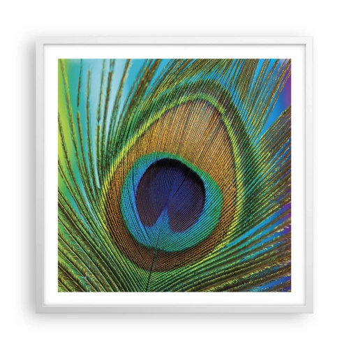 Plakat i hvid ramme - Øje mod øje - 60x60 cm
