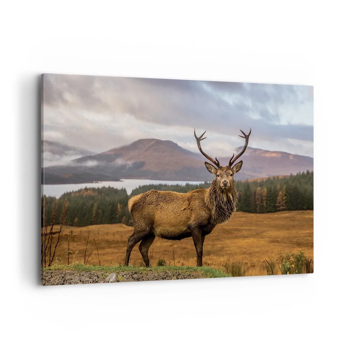 Lærredstryk - Billede på lærred - Naturens majestæt - 120x80 cm