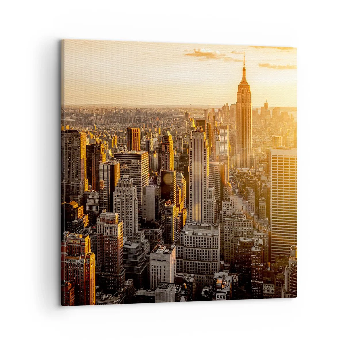 Lærredstryk - Billede på lærred - At vokse i solen - 50x50 cm