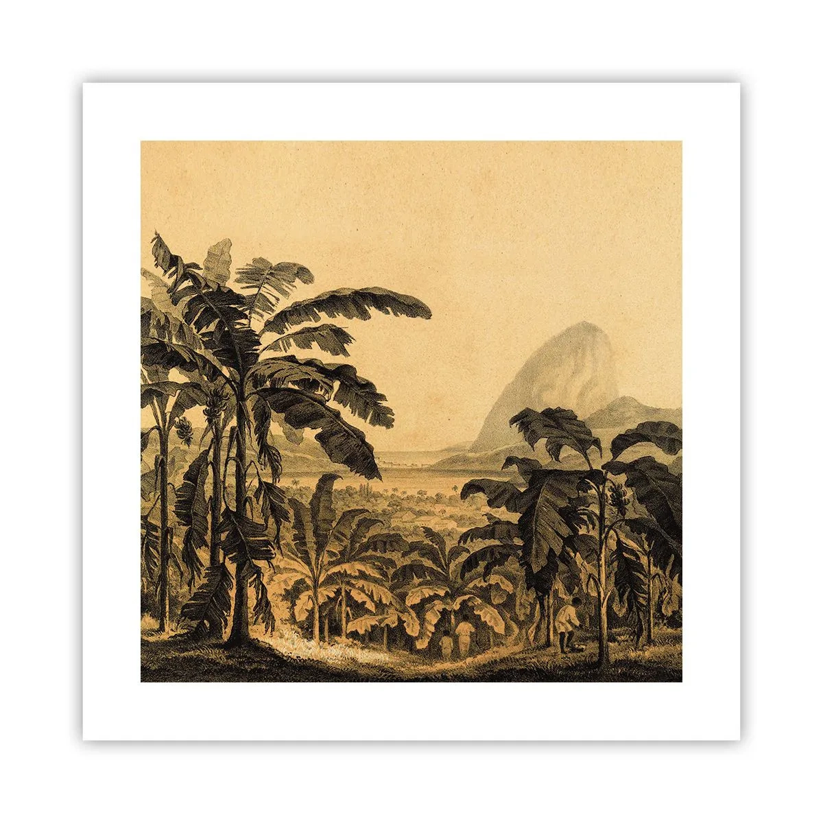 Plakat - I en kolonial atmosfære - 40x40 cm
