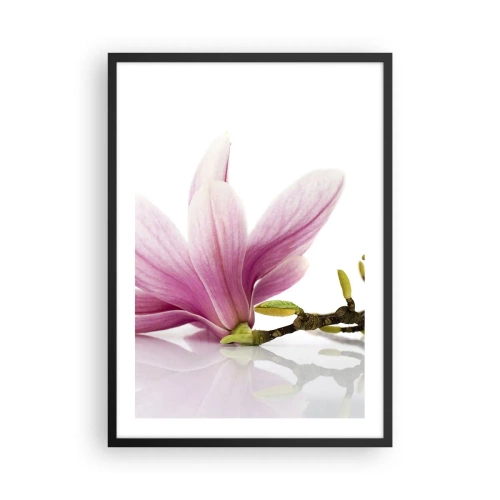 Plakat i sort ramme - Lyserød magnoliablomst på en gren med en hvid baggrund - 50x70cm - Blød som et åndedrag af forår - Moderne vægdekoration til stue og soveværelse ARTTOR