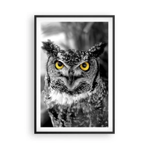 Plakat i sort ramme - Intet kan skjules - 61x91 cm