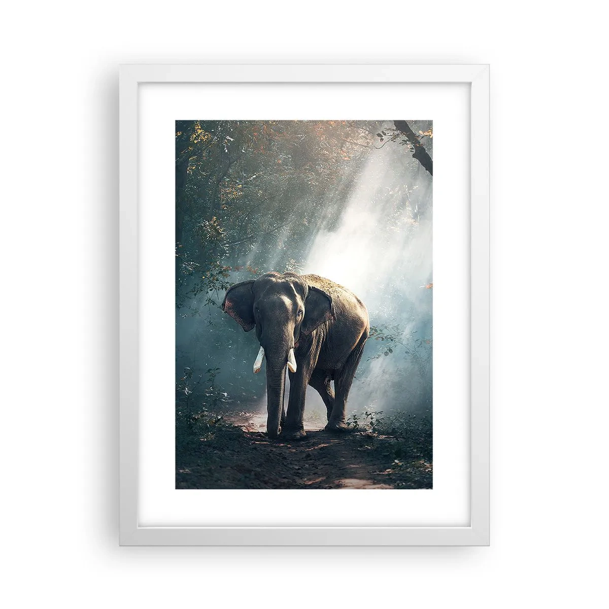 Plakat i hvid ramme - En fredelig gåtur - 30x40 cm