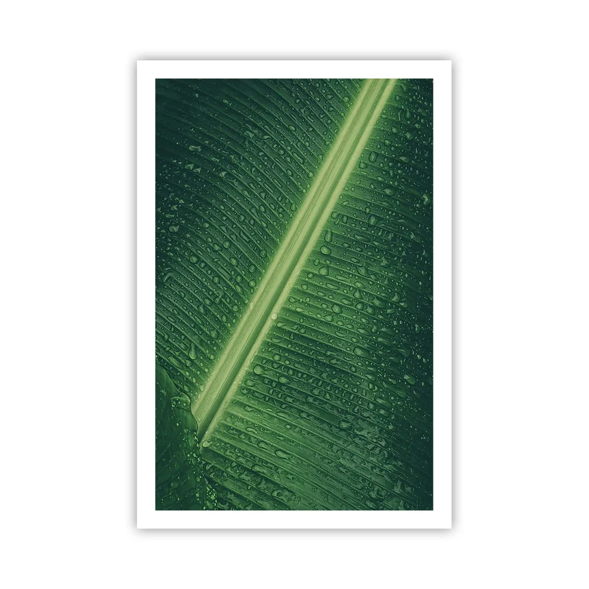 Plakat - Grøn struktur - 61x91 cm