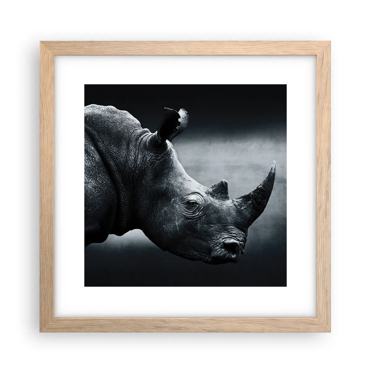 Plakat i ramme af lyst egetræ - Højre profil - 30x30 cm