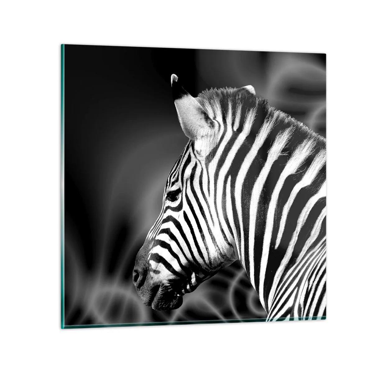 Billede på glas - Hvid er hvid og sort er sort - 70x70 cm