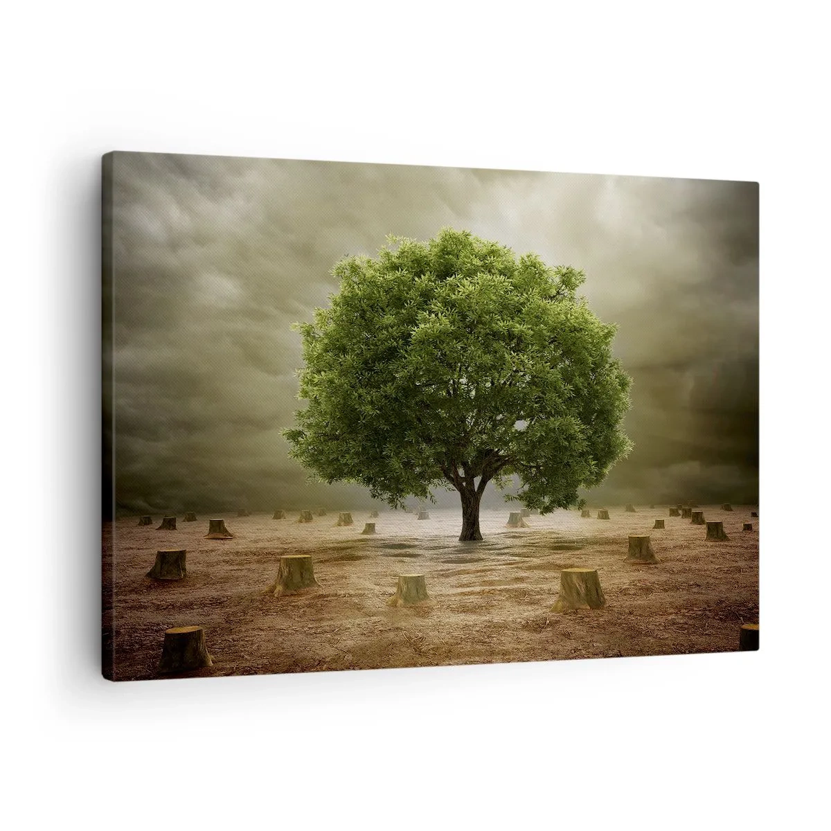 Lærredstryk - Billede på lærred - Et grønt træ omgivet af fældede træstammer mod en overskyet himmel - 70x50cm - Alt håb - Moderne vægdekoration til stue og soveværelse ARTTOR