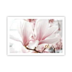 Plakat - Ømhedens umådelighed - 91x61 cm