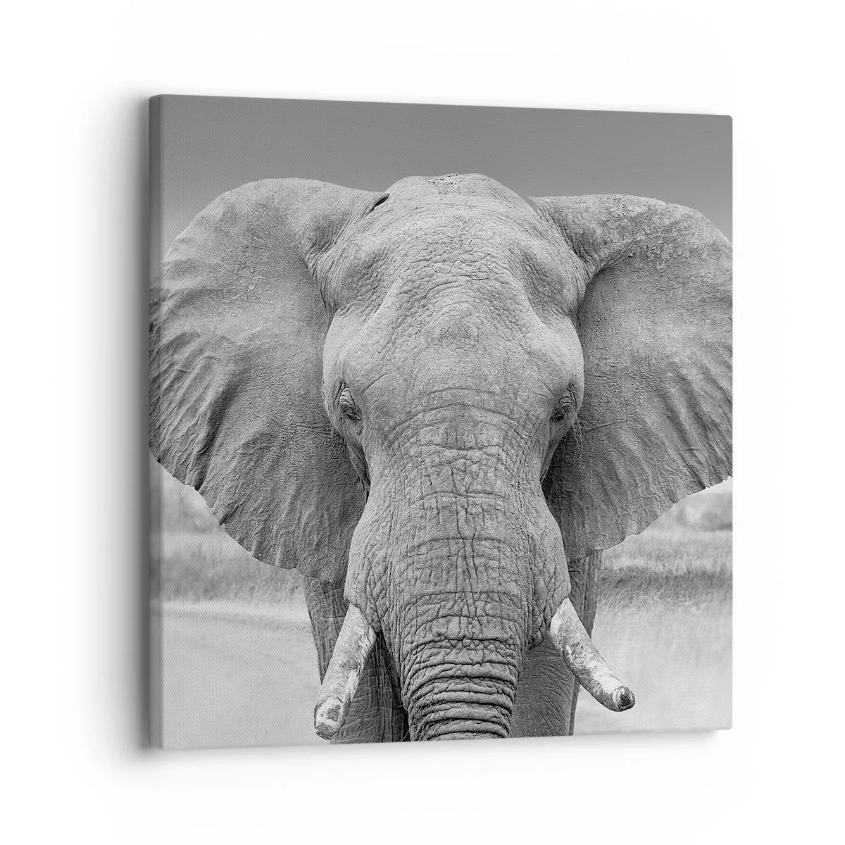 Lærredstryk - Billede på lærred - Velkommen til min verden - 30x30 cm