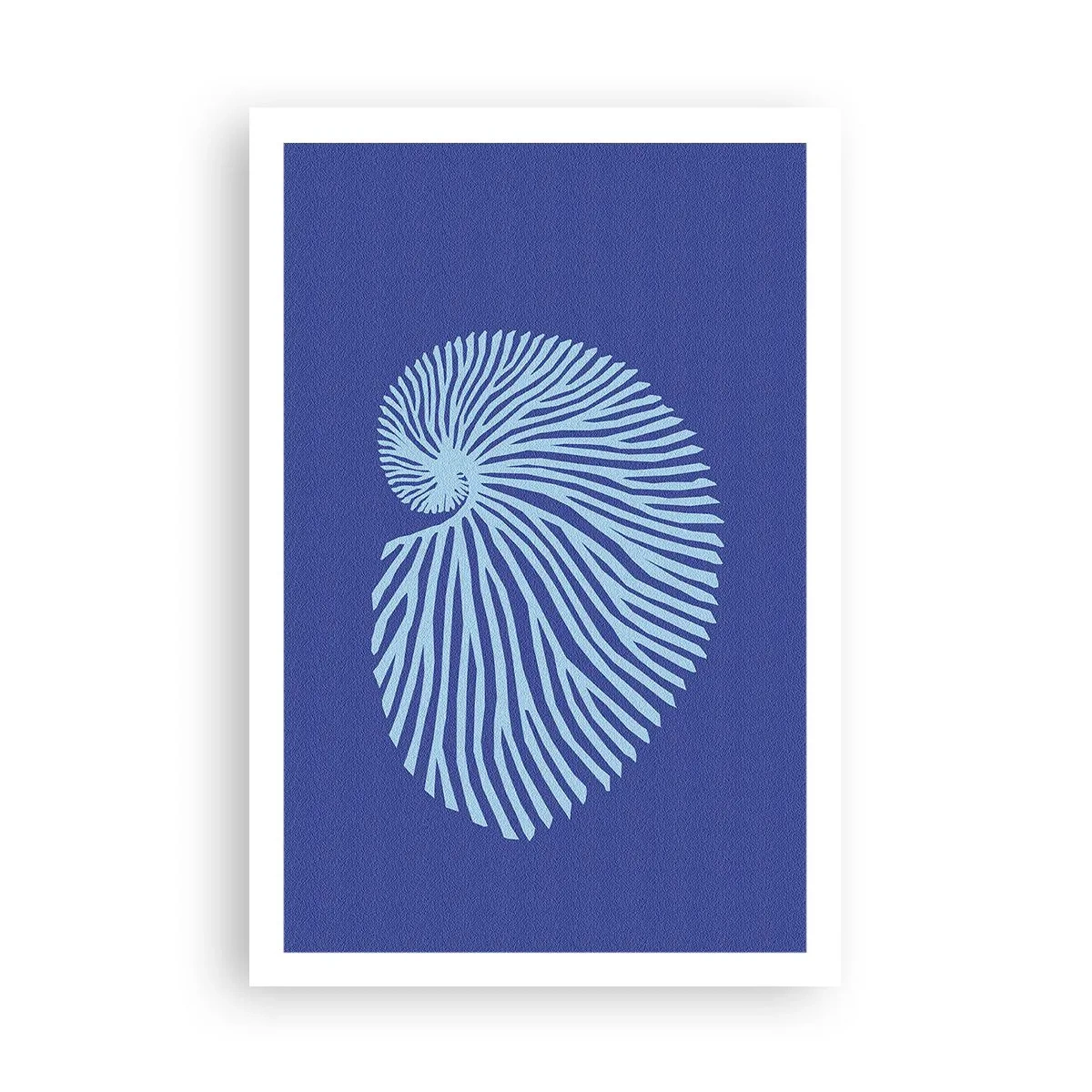 Plakat - Fødsel af en skal - 61x91 cm