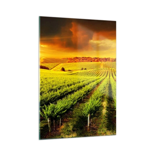 Billede på glas - Under den australske sol - 50x70 cm