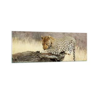 Billede på glas - Jeg går min egen vej - 140x50 cm