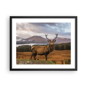 Plakat i sort ramme - Naturens majestæt - 50x40 cm