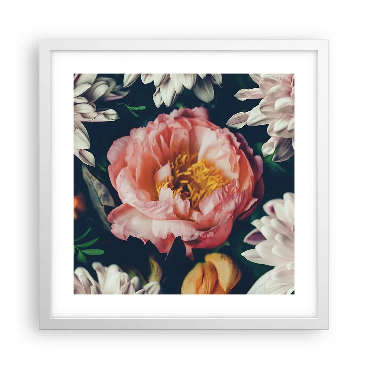 Plakat i hvid ramme - Med barok pragt - 40x40 cm