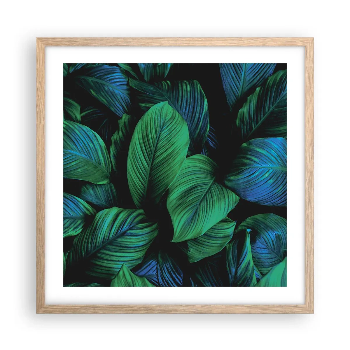 Plakat i ramme af lyst egetræ - I den grønne flok - 50x50 cm